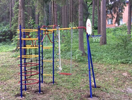 Детский спортивный комплекс для дачи ROMANA Космодром